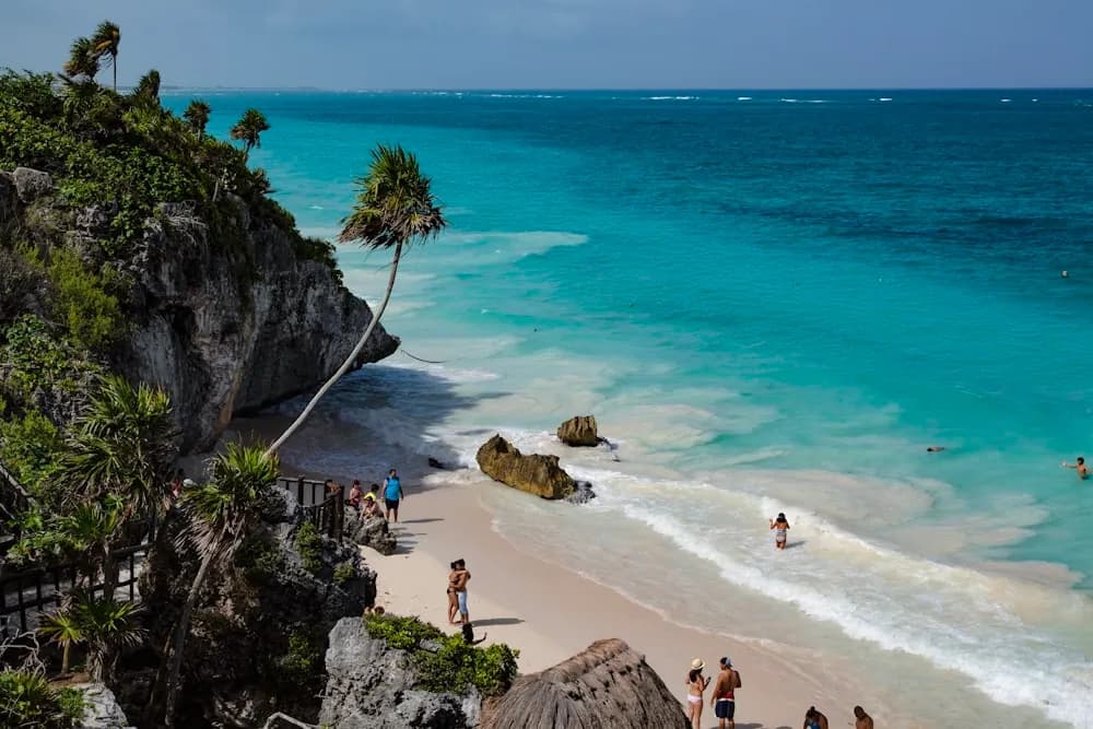 Praia caribenha com coqueiro inclinado e rochas ao fundo em Tulum